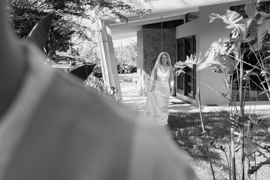 A first look in the jungle in Costa Rica.